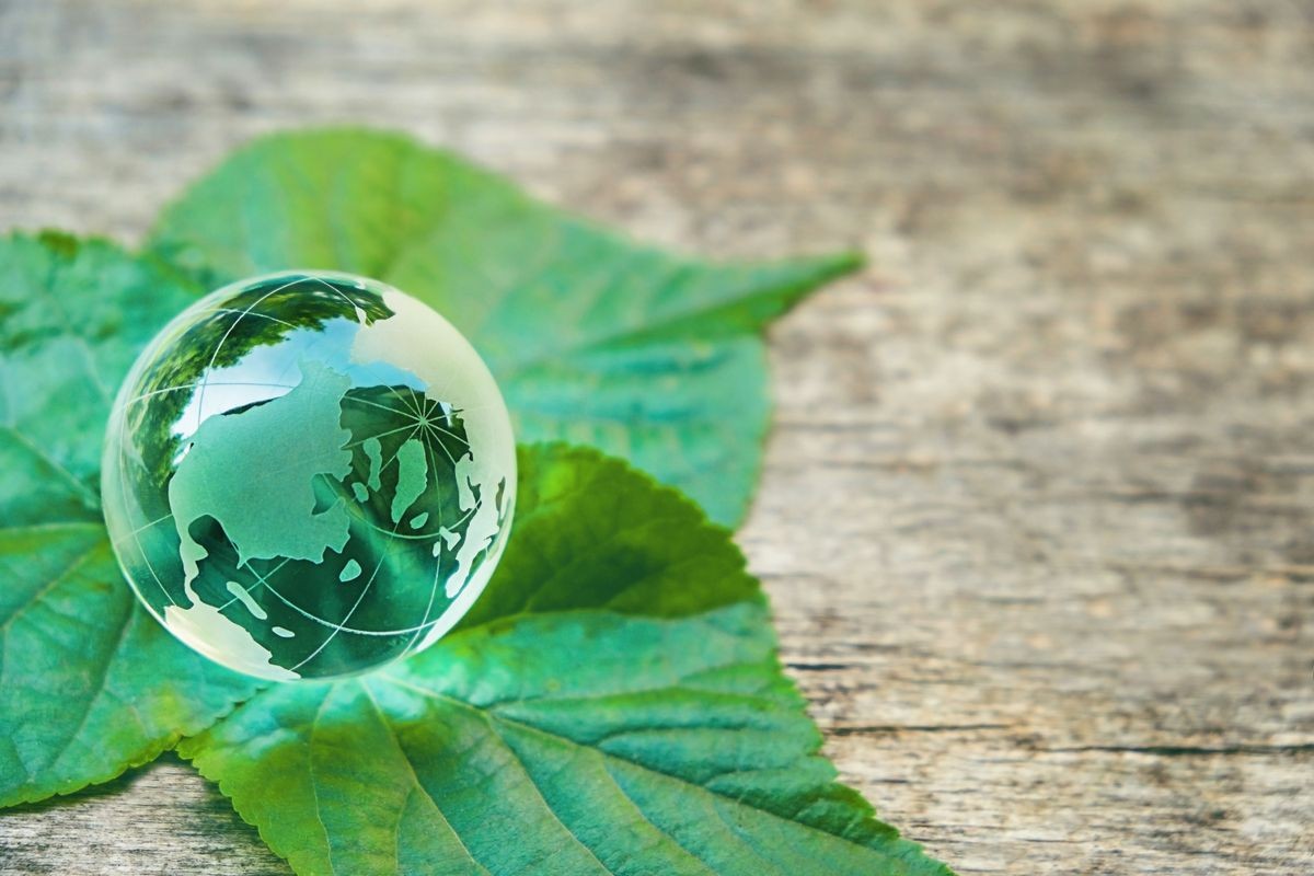 glass earth globe and green leaves on wooden background. Concept of ecology, save nature, earth protection, eco friendly, Environment conservation