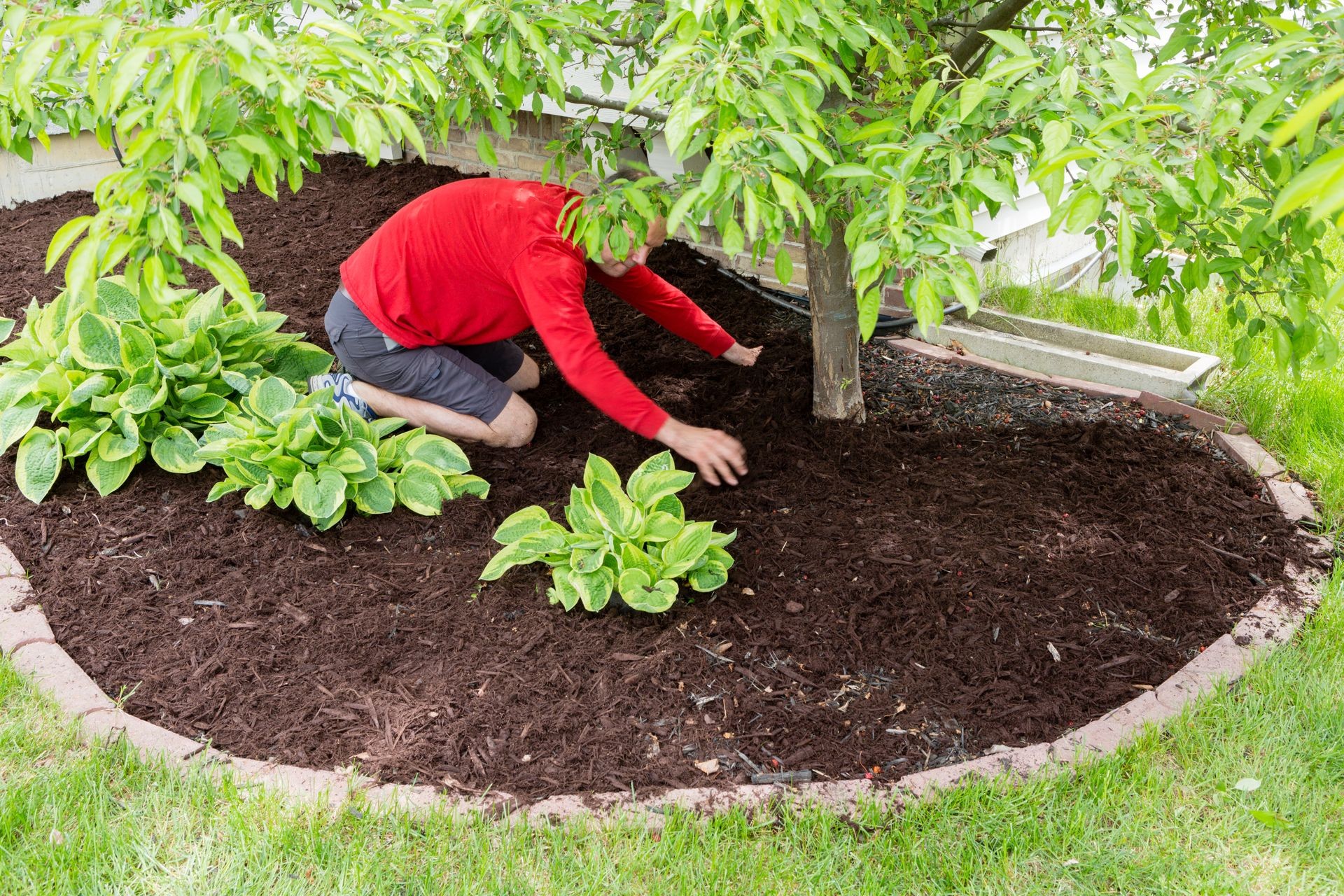 Say goodbye to the hassle of buying and installing new mulch with Mulch Medics. Our innovative mulch dyeing service is a cost-effective alternative, saving you time and money while preserving the aesthetics of your landscape.